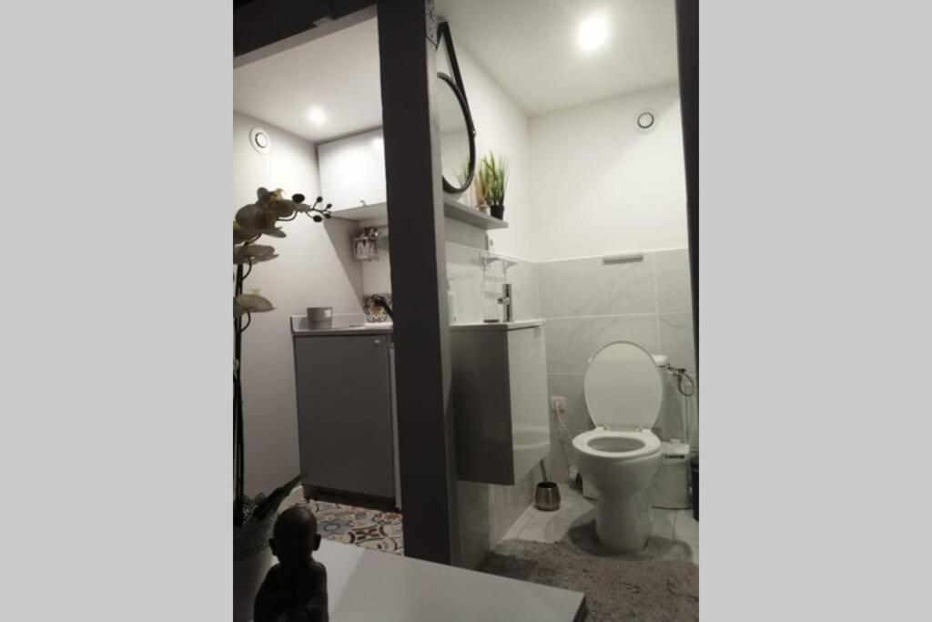 Studio Cosy Appartement Avignon Buitenkant foto